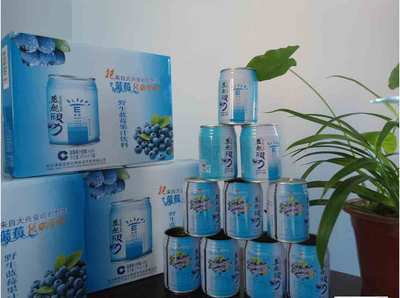 加盟奥蓝特蓝海舰队蓝舰视力蓝莓果汁饮料 走发家致富之路-哈尔滨奥蓝特生物技术开发